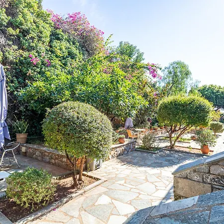 Vardia 2* カルダミリ